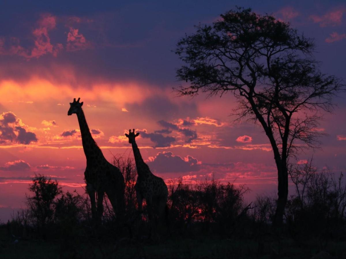 Paradise River Lodge Hoedspruit Exteriör bild